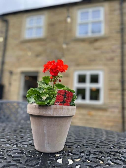 Olive Holiday Cottage Matlock Matlock  Exteriér fotografie
